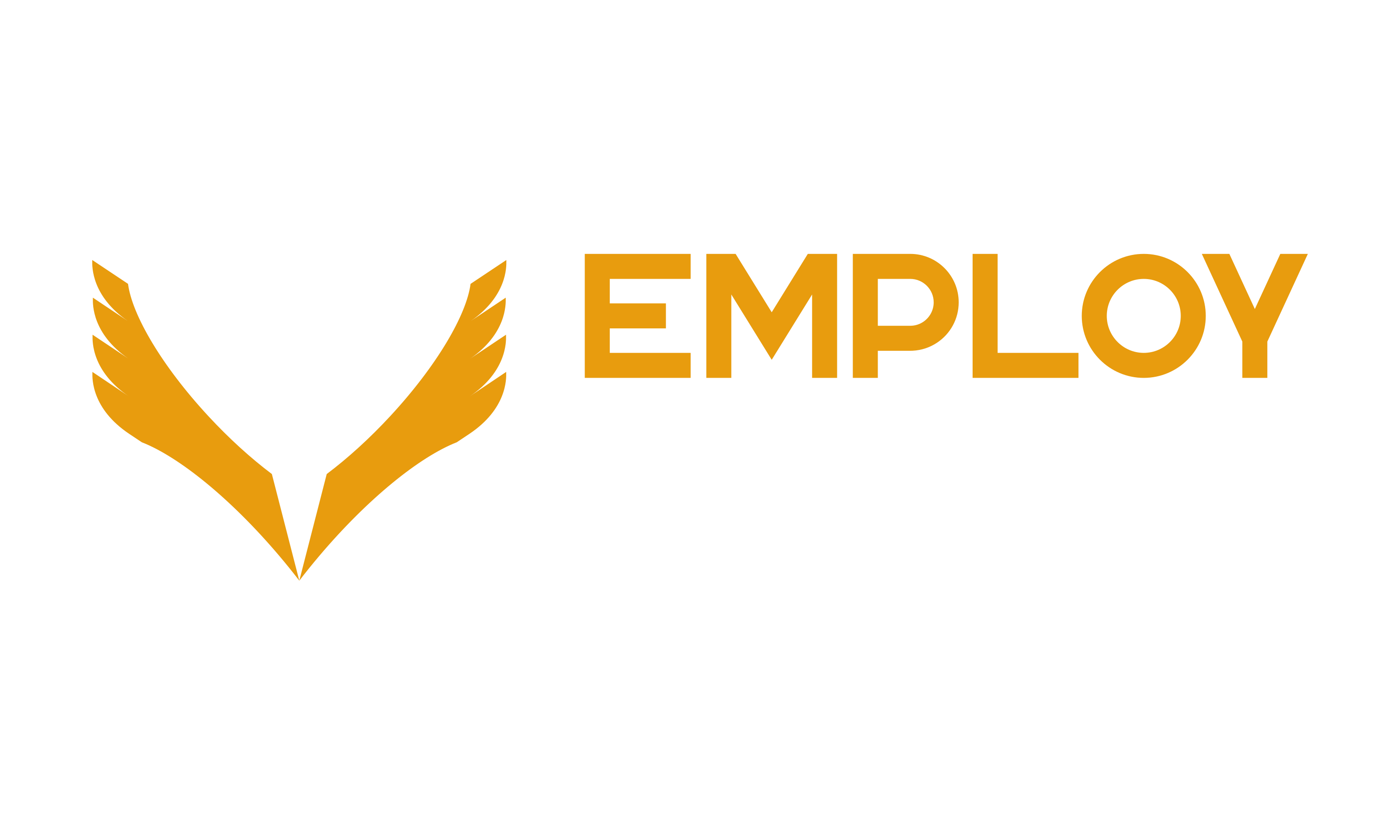 customcolor_logo_transparent_background